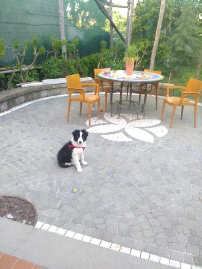 Domus Felix Panzió Sorrento Kültér fotó